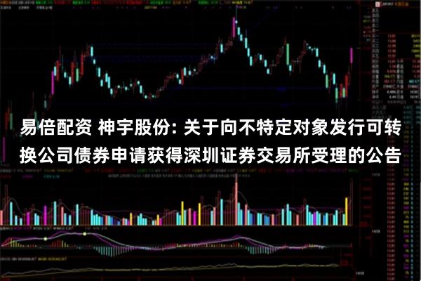易倍配资 神宇股份: 关于向不特定对象发行可转换公司债券申请获得深圳证券交易所受理的公告