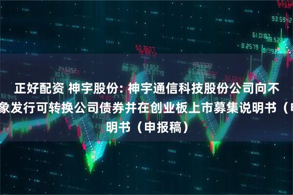 正好配资 神宇股份: 神宇通信科技股份公司向不特定对象发行可转换公司债券并在创业板上市募集说明书(申报稿)