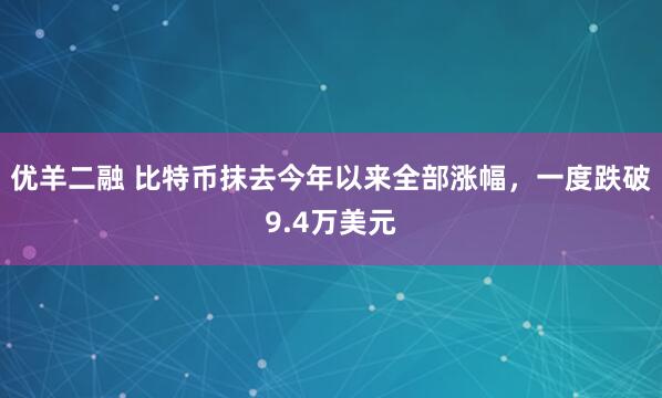 优羊二融 比特币抹去今年以来全部涨幅,一度跌破9.4万美元