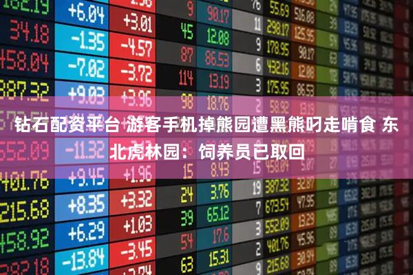 钻石配资平台 游客手机掉熊园遭黑熊叼走啃食 东北虎林园：饲养员已取回