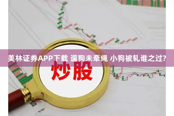 美林证券APP下载 遛狗未牵绳 小狗被轧谁之过?